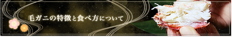 毛ガニの種類と食べ方について