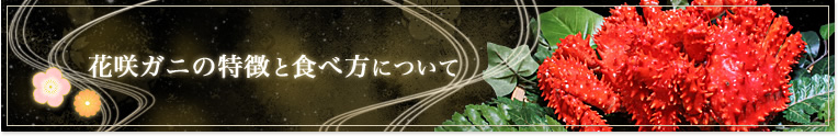 花咲ガニの種類と食べ方について